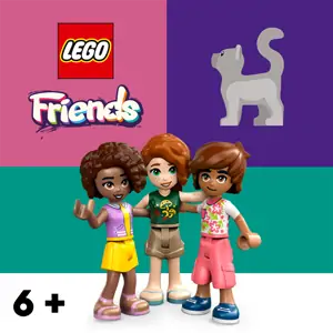 Friends