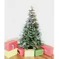 Chistmas Tree With Berries საახალწლო ნაძვის ხე შერეული წიწვებით და კენკრით 180 სმ (OT643)
