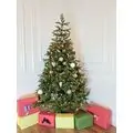 Christmas Tree With Berries საახალწლო ნაძვის ხე შერეული წიწვებით და კენკრით 210 სმ (OT644)