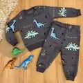 Friends Dinosaurs 2 In 1 Set Dark Grey - საბავშვო ორეული