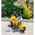 Delfino Police Yellow - ელექტრო მოტოციკლი