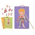 Tooky Toy Body Magnetic Chart TH842 - სათამაშო ადამიანის სხეულის ნაწილები