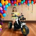 Harley Davidson Motorcycle White - ელექტრო მოტოციკლი
