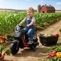 Mercedes Motorcycle With Cart Black - ელექტრო მოტოციკლი მისაბმელი ურიკით