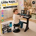 Fascinating Melody Piano - სათამაშო პიანინო