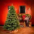 Christmas Tree 210 CM PE + PVC  - საახალწლო ნაძვის ხე შერეული სილიკონის წიწვებით