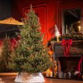 Christmas Tree PE+PVC 210 CM Green - ნაძვის ხე შერეული სილიკონის წიწვებით