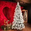 Winter Wonder Snow-Covered Christmas Tree 240 CM With Pine Cones საახალწლო ნაძვის ხე დათოვლილი ტოტებით და გირჩით 240  სმ (OT2084)