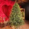 Holandiia Christmas Tree With Olive Tips PE 210 CM საახალწლო ნაძვის ხე, 100% სილიკონი