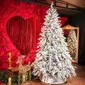 Viennese Snow-Covered Christmas Tree PE 250 CM  დათოვლილი ნაძვის ხე 100% სილიკონი