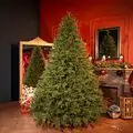 Christmas Tree Grand Wide 100 % Silicone Needle 260 CM - ნაძვის ხე 100% სილიკონი