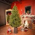 Enchanted Pine Christmas Tree PE+PVC 180 CM With Mixed Silicone Needle - ნაძვის ხე შერეული სილიკონის წიწვებით
