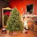 Riviera Alpine Christmas Tree 180 CM With Mixed Silicone Needle PE+PVC - ნაძვის ხე შერეული სილიკონის წიწვებით