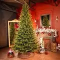 Nordgran Christmas Tree Nordgran With Mixed Silicone Needle 270 CM - ნაძვის ხე შერეული სილიკონის წიწვებით