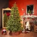 Snowdrop Christmas Tree 210 CM 100% Silicone With Lights - ნაძვის ხე 100 % სილიკონი, განათებით