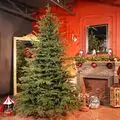 Alpina Christmas Tree 240 CM Edelweiss With Mixed Silicone Needle - ნაძვის ხე შერეული სილიკონის წიწვებით