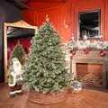 Holandiia Christmas Tree With Blue Tips PE 180 CM საახალწლო ნაძვის ხე, 100% სილიკონი