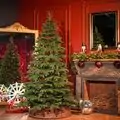 Smart Classic Ukrainian Christmas Tree PE 210 CM 100% Silicone - დათოვლილი ნაძვის ხე 100% სილიკონი