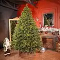 Holandiia Christmas Tree With Olive Tips PE 250 CM საახალწლო ნაძვის ხე, 100% სილიკონი