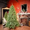 Pinecrest Christmas Tree PE 210 CM  - ნაძვის ხე 100% სილიკონი