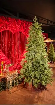 Alpine Star Christmas Tree Green 240 CM PE  საახალწლო ნაძვის ხე, 100% სილიკონი, 2 image
