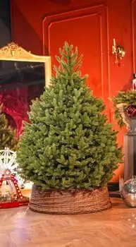Christmas Tree Lamelia With Mixed Silicone Needle 180 CM - ნაძვის ხე შერეული სილიკონის წიწვებით, 2 image