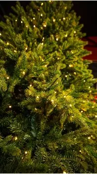 Christmas Tree With Lights  - საახალწლო ნაძვის ხე შერეული სილიკონის წიწვებით და განათებით 240 CM (OT2335), 9 image