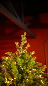 Christmas Tree With Lights  - საახალწლო ნაძვის ხე შერეული სილიკონის წიწვებით და განათებით 240 CM (OT2335), 11 image