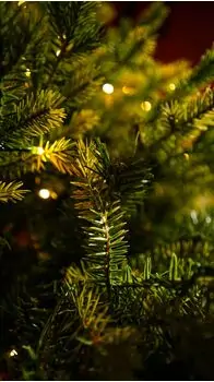 Christmas Tree With Lights  - საახალწლო ნაძვის ხე შერეული სილიკონის წიწვებით და განათებით 240 CM (OT2335), 7 image