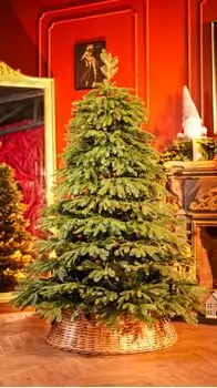Christmas Tree With Mixed Silicone Needle PE+PVC 180 CM - ნაძვის ხე შერეული სილიკონის წიწვებით, 2 image