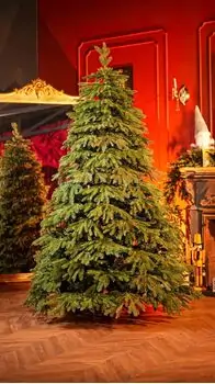 Christmas Tree With Mixed Silicone Needle PE +PVC 210 CM - ნაძვის ხე  შერეული სილიკონის წიწვებით, 2 image
