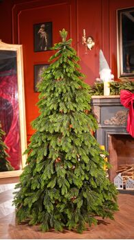 Christmas Tree PE 180 CM Green  - ნაძვის ხე 100% სილიკონი, 2 image