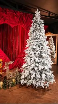 Winter Wonder Snow-Covered Christmas Tree 240 CM With Pine Cones საახალწლო ნაძვის ხე დათოვლილი ტოტებით და გირჩით 240  სმ (OT2084), 2 image