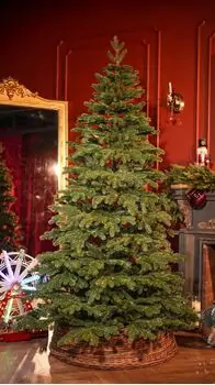 Christmas Tree 100 % Silicone Needle 210 CM - ნაძვის ხე 100% სილიკონი, 3 image