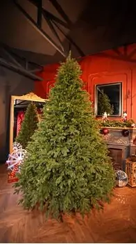 Christmas Tree Grand Wide 100 % Silicone Needle 260 CM - ნაძვის ხე 100% სილიკონი, 3 image