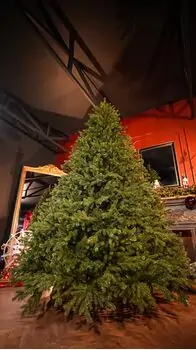 Christmas Tree Grand Wide 100 % Silicone Needle 260 CM - ნაძვის ხე 100% სილიკონი, 5 image