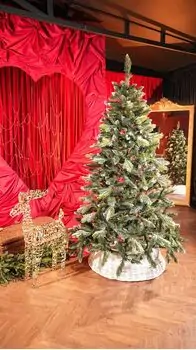 Diamant Green Christmas Tree With Mixed Silicone Needle And Red Viburnum Berries PE+ PVC 200CM - ნაძვის ხე შერეული სილიკონის წიწვებით და კენკრით, 2 image