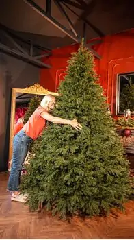 Christmas Tree Grand Wide 100 % Silicone Needle 260 CM - ნაძვის ხე 100% სილიკონი, 4 image