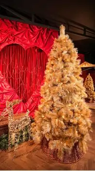 Champange Gold Christmas Tree 210 CM With Lights - საახალწლო ნაძვის ხე განათებით, 8 image