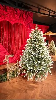 Christmas Tree With Lights 180 CM PE+PVC საახალწლო ნაძვის ხე, შერეული სილიკონის წიწვებით და განათებით, 2 image