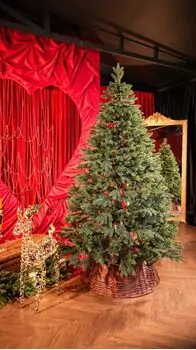 Belgian Christmas Tree Green With 100% Silicone PE 210 CM - ნაძვის ხე 100% სილიკონი, 2 image