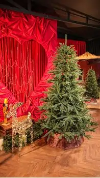 Alpine Christmas Tree PE 210 CM Green - საახალწლო ნაძვის ხე, 100 % სილიკონი, 2 image
