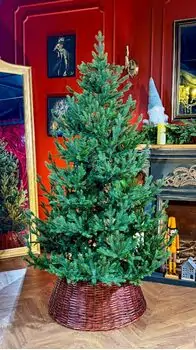 Christmas Tree PE+PVC 180 CM Green - ნაძვის ხე შერეული სილიკონის წიწვებით, 2 image