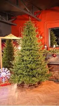 Christmas Tree Edelweiss Luxe With 100% Silicone Needle 260 CM - ნაძვის ხე 100% სილიკონის წიწვებით, 2 image