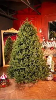 Riviera Alpine Christmas Tree 220 CM With Mixed Silicone Needle PE+PVC - ნაძვის ხე შერეული სილიკონის წიწვებით, 2 image