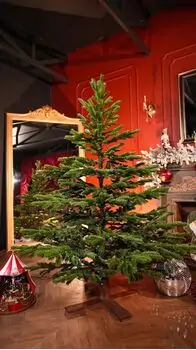 Nordic Frost Christmas Tree 100% Silicone 180 CM - ნაძვის ხე 100 % სილიკონი, 2 image