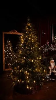 Winterlyn Christmas Tree 100% Silicone Needle With Lights PE 210 CM - ნაძვის ხე 100% სილიკონის წიწვებით და განათებით, 4 image