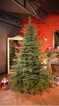 Alpina Christmas Tree 240 CM Edelweiss With Mixed Silicone Needle - ნაძვის ხე შერეული სილიკონის წიწვებით, 2 image
