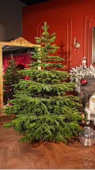 Evergreen Charm Christmas Tree 210 CM 100% Silicone - ნაძვის ხე 100 % სილიკონი, 2 image