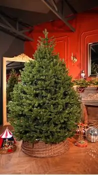 Lamelia Christmas Tree PE+PVC 220CM With Mixed Silicone Needle - ნაძვის ხე შერეული სილიკონის წიწვებით, 2 image